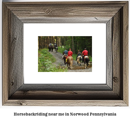 horseback riding near me in Norwood, Pennsylvania